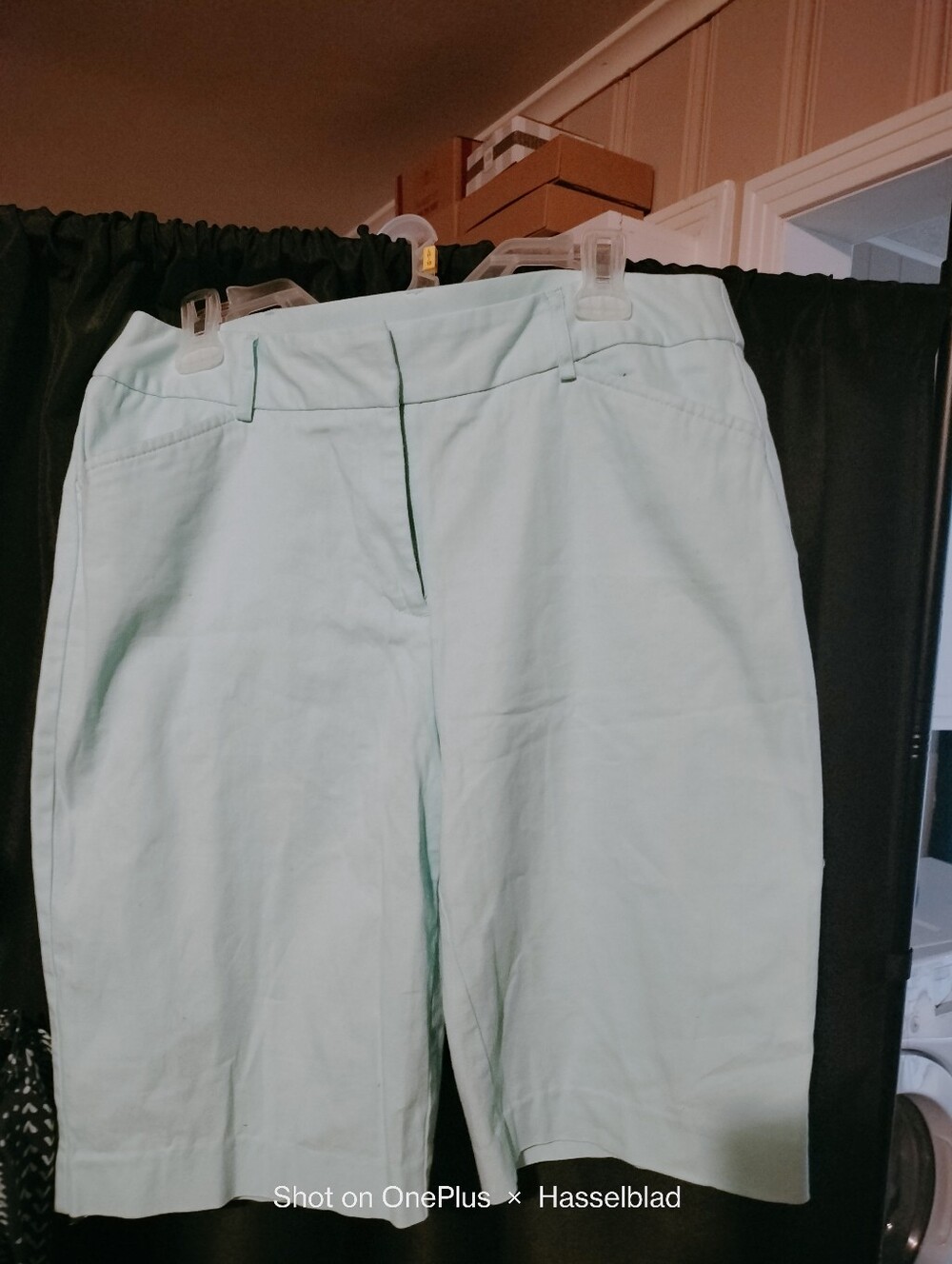 Studio Works Women's Mint Green Shorts